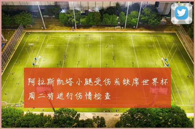 阿拉斯凯塔小腿受伤或缺席世界杯周二将进行伤情检查
